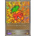 〔状態B〕にんじん(EVOLVE)【PR】{PR-052}