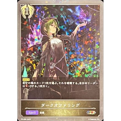 画像1: 〔状態B〕ダークオファリング【PR】{PR-060}