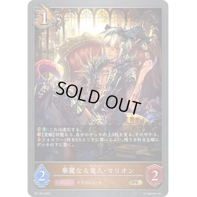 画像1: 〔状態A-〕華麗なる竜人・マリオン【PR】{PR-184}