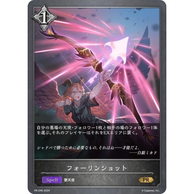 画像1: フォーリンショット【PR】{PR-246}
