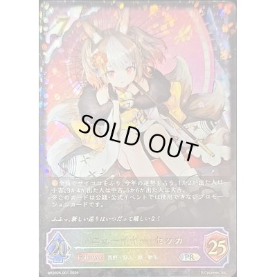 画像1: 〔状態B〕ニューイヤー・セッカ(ポストカード無し)【PR】{NY2025-001}