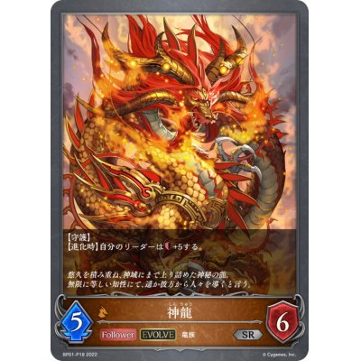 画像1: 神龍(EVOLVE)【SR・プレミアム】{BP01-P18}