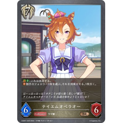 画像1: テイエムオペラオー【BR】{CSD01-029}