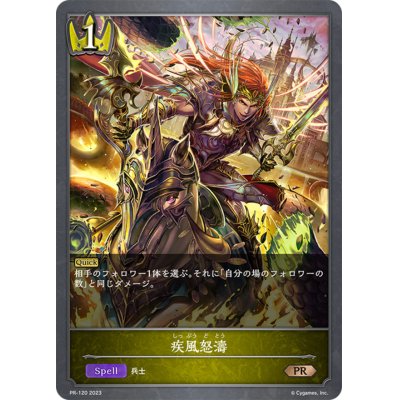画像1: 疾風怒涛【PR】{PR-120}