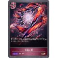 抱擁の翼【BR】{BP05-084}
