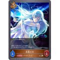 高峯のあ【BR・プレミアム】{CP02-P54}