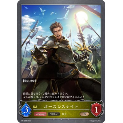 画像1: オースレスナイト【PR】{PR-033}
