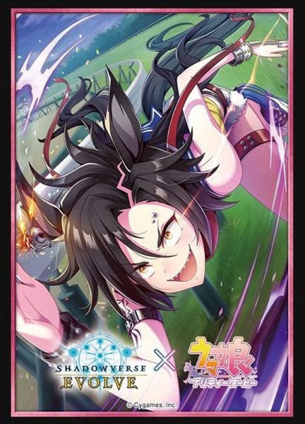 画像1: スリーブ『エアシャカール(Vol.44)』【サプライ】{-} (1)
