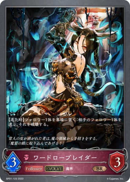 画像1: ワードローブレイダー(EVOLVE)【BR】{BP01-123} (1)