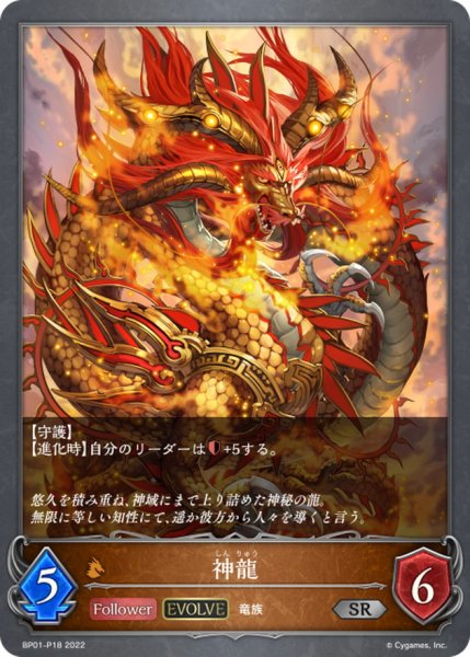 画像1: 神龍(EVOLVE)【SR・プレミアム】{BP01-P18} (1)