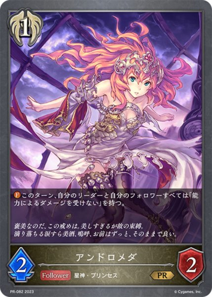 画像1: アンドロメダ【PR】{PR-082} (1)