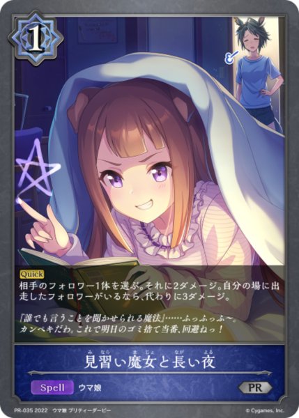 画像1: 見習い魔女と長い夜【PR】{PR-035} (1)